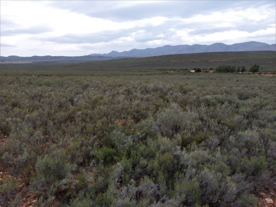 Commercial Property for Sale in George Rural Western Cape